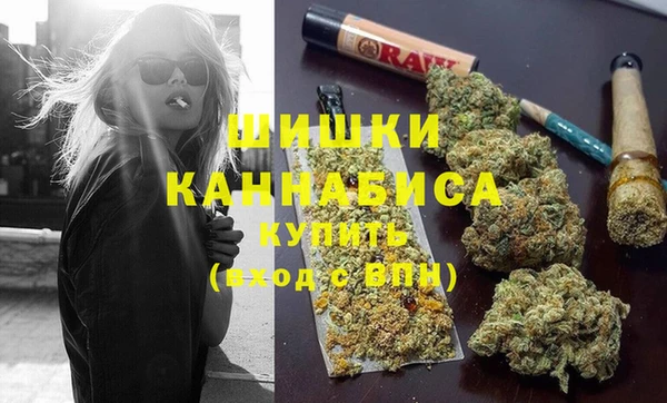 гидра Слюдянка