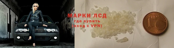 гидра Семилуки