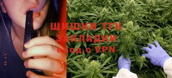 Альфа ПВП Снежногорск