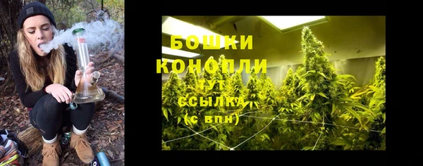 гидра Слюдянка
