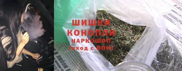PSILOCYBIN Кизел